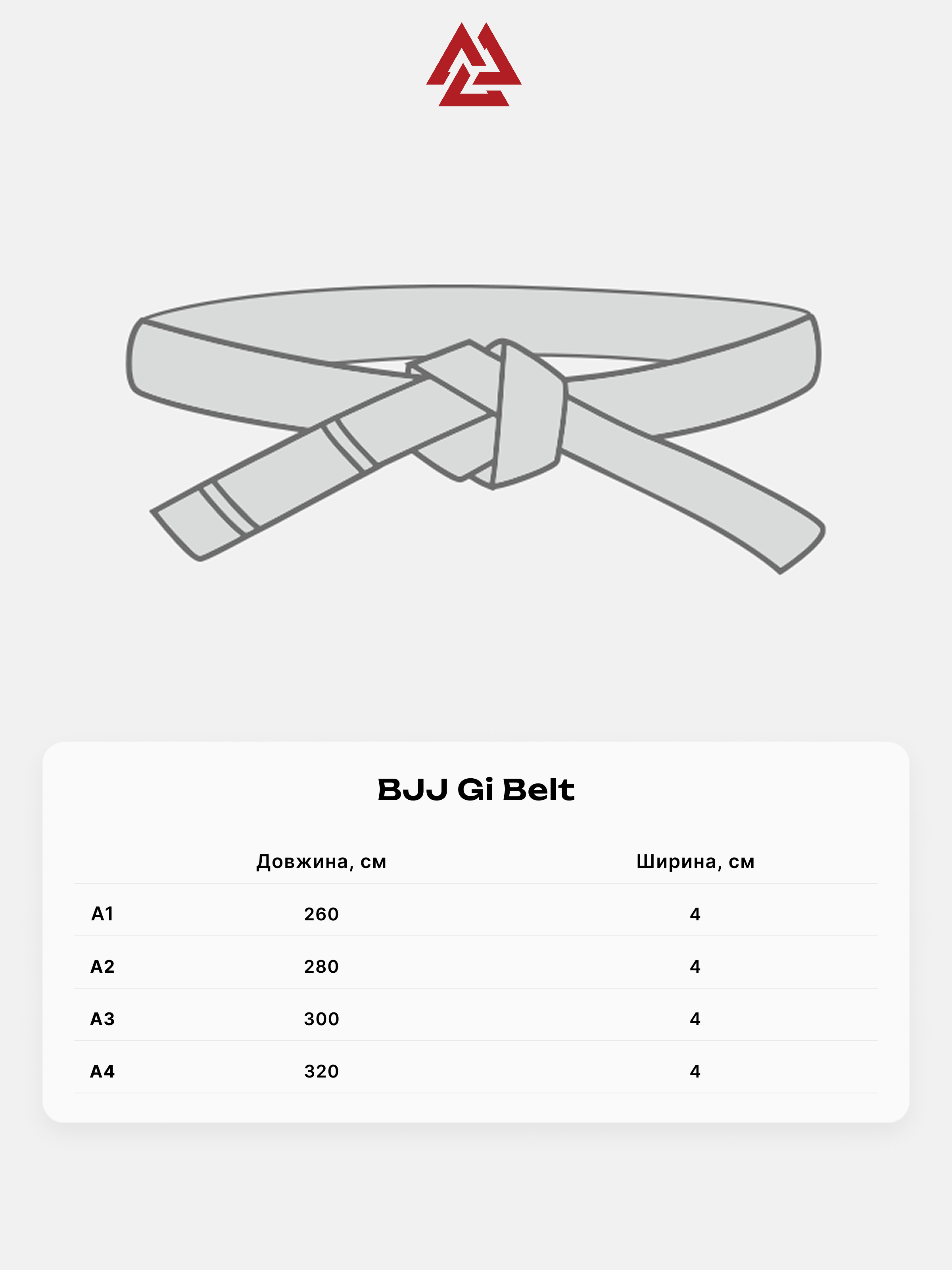 The Rising Sun Premium BJJ Belt Brown, Photo № 6